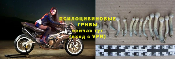 СК Няндома