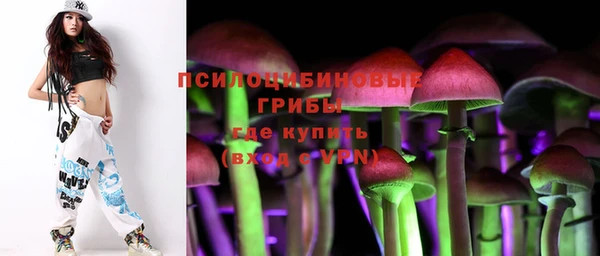 СК Няндома