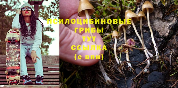 Альфа ПВП Остров