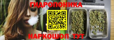 дурь Аргун