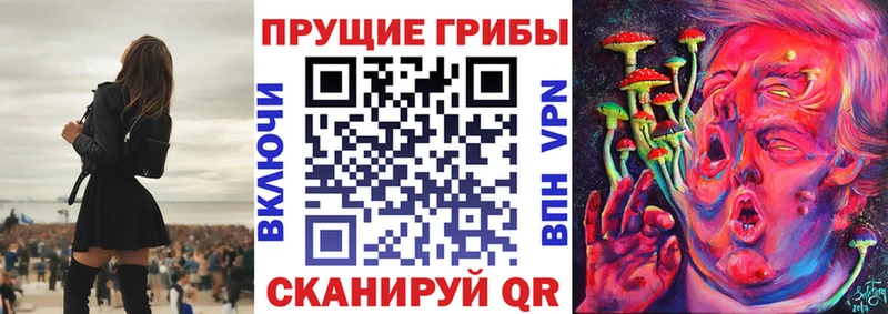 Галлюциногенные грибы MAGIC MUSHROOMS  дарк нет как зайти  Астрахань 