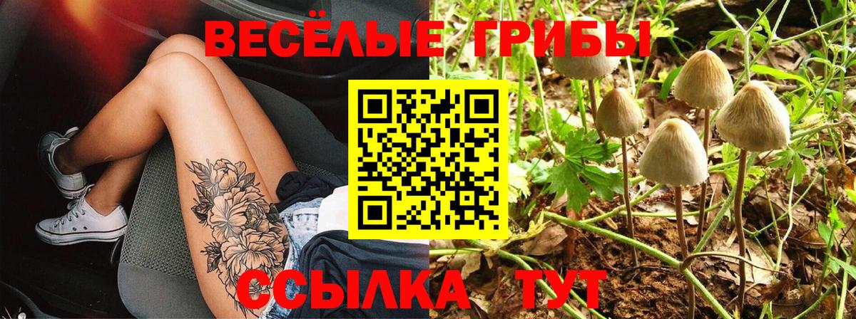 Псилоцибиновые грибы прущие грибы  Вход с VPN  Галлюциногенные грибы Psilocybine cubensis  Астрахань 